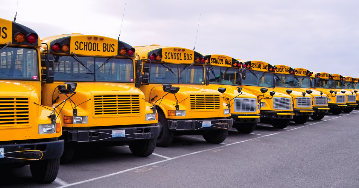 Institutional Transport Safety and Logistics Auditing